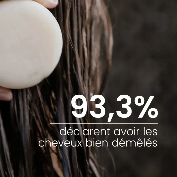 Après-Shampoing solide
